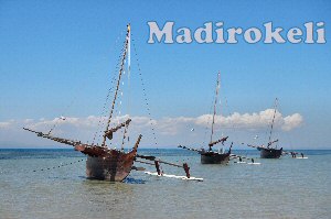 tre catamarani